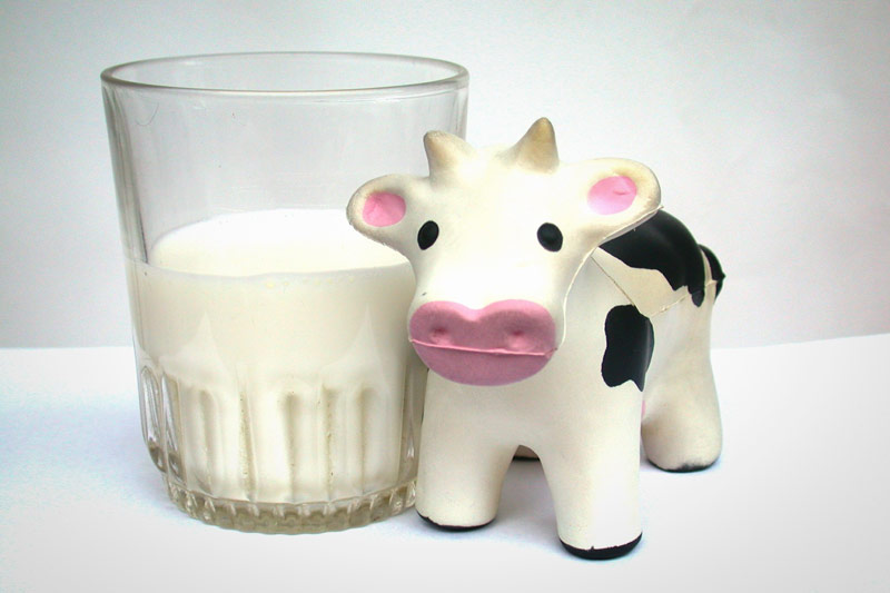 Alergia a la proteina de la vaca