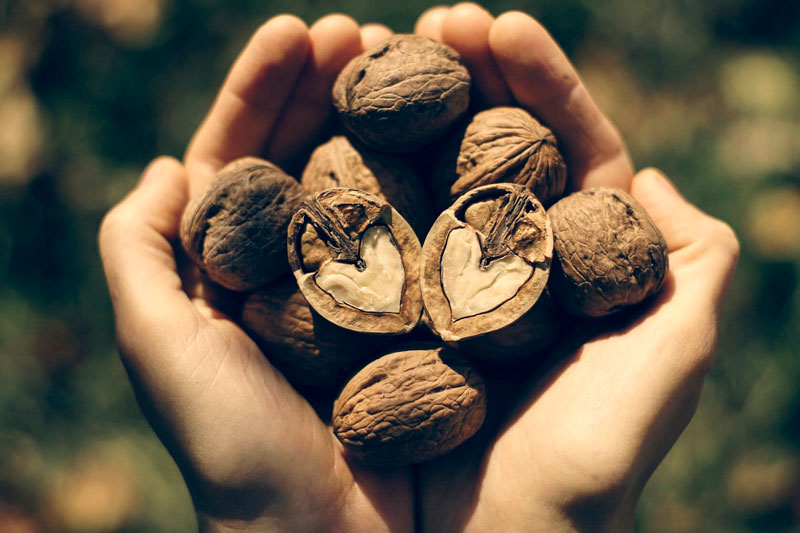 Beneficios de las nueces