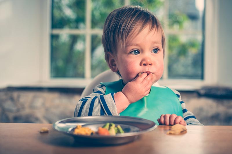 que es el baby led weaning